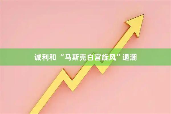 诚利和 “马斯克白宫旋风”退潮